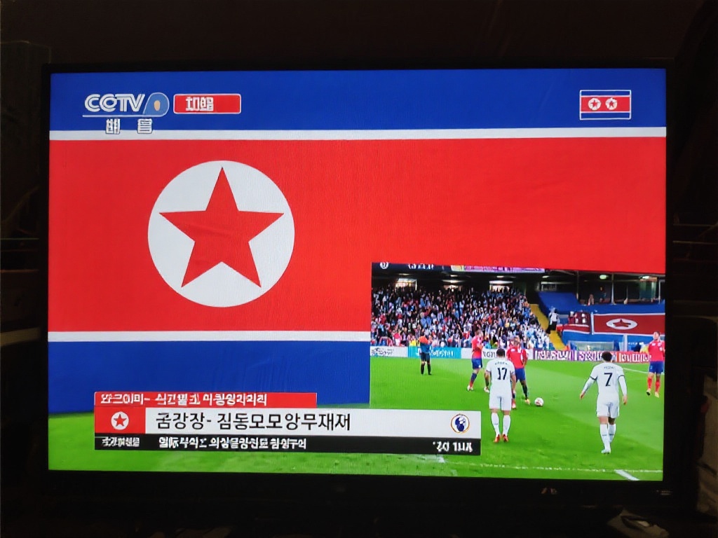 运动员历史 运动员历史