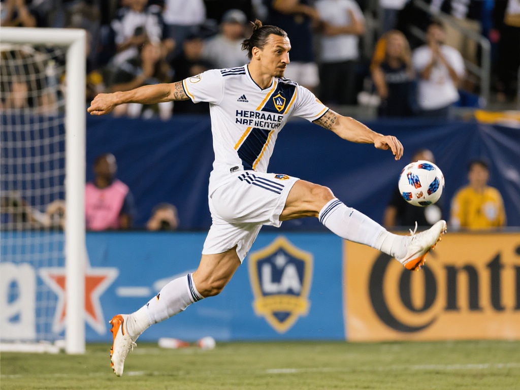 月份的沙特 月份的沙特